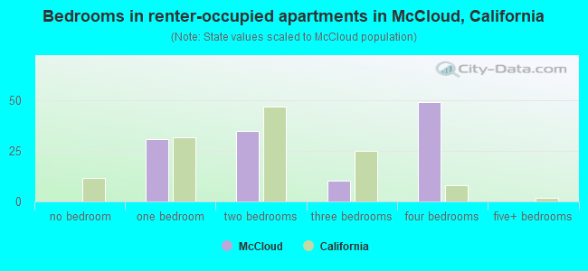 Bedrooms in renter-occupied apartments in McCloud, California