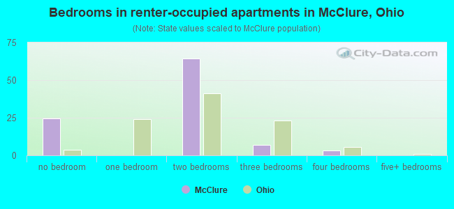 Bedrooms in renter-occupied apartments in McClure, Ohio