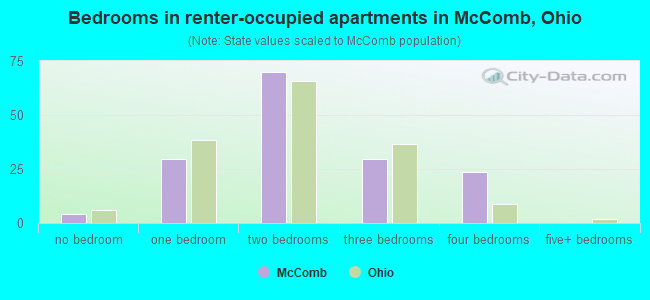 Bedrooms in renter-occupied apartments in McComb, Ohio