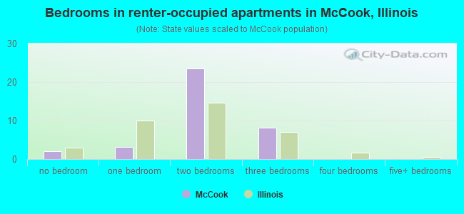 Bedrooms in renter-occupied apartments in McCook, Illinois