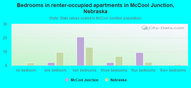 Bedrooms in renter-occupied apartments in McCool Junction, Nebraska
