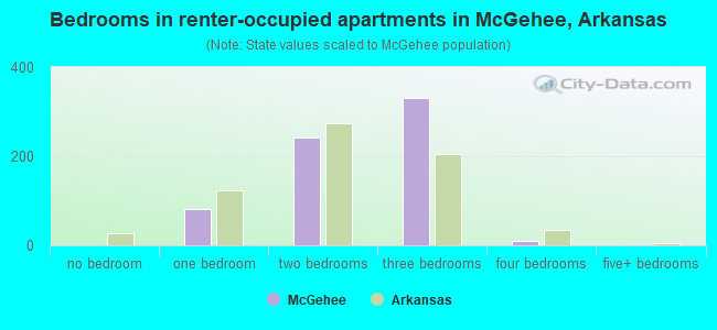 Bedrooms in renter-occupied apartments in McGehee, Arkansas