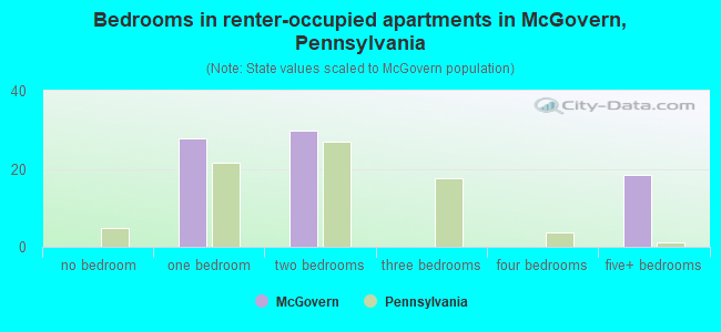 Bedrooms in renter-occupied apartments in McGovern, Pennsylvania