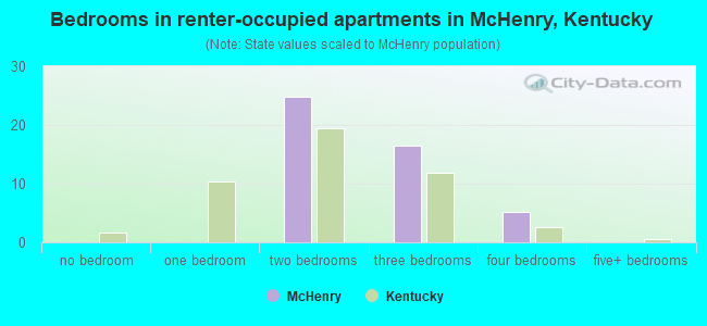 Bedrooms in renter-occupied apartments in McHenry, Kentucky