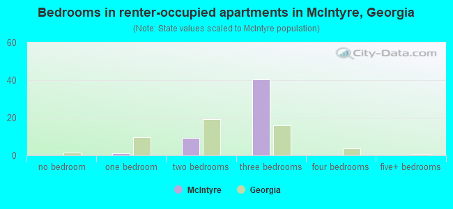 Bedrooms in renter-occupied apartments in McIntyre, Georgia