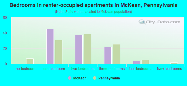 Bedrooms in renter-occupied apartments in McKean, Pennsylvania
