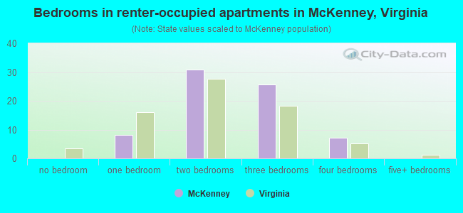 Bedrooms in renter-occupied apartments in McKenney, Virginia