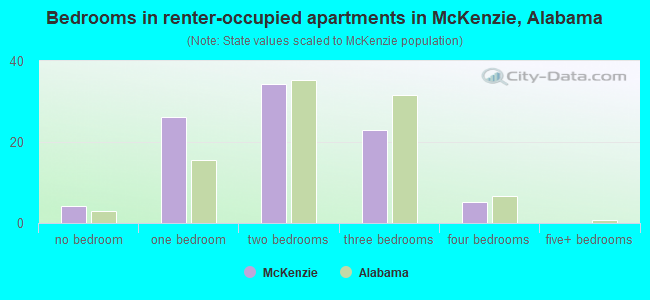 Bedrooms in renter-occupied apartments in McKenzie, Alabama