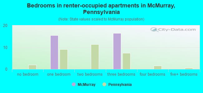 Bedrooms in renter-occupied apartments in McMurray, Pennsylvania