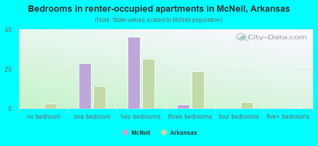 Bedrooms in renter-occupied apartments in McNeil, Arkansas