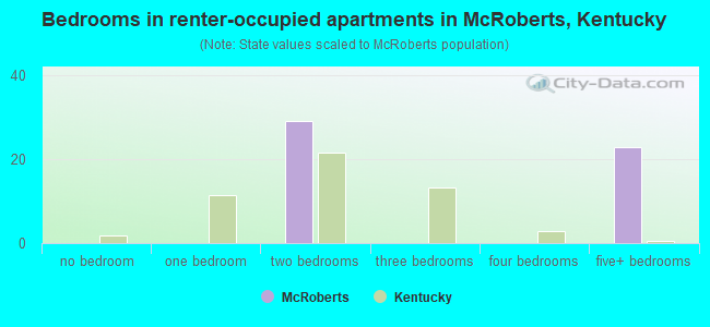 Bedrooms in renter-occupied apartments in McRoberts, Kentucky