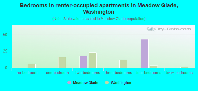 Bedrooms in renter-occupied apartments in Meadow Glade, Washington
