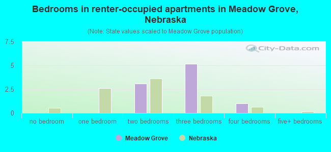 Bedrooms in renter-occupied apartments in Meadow Grove, Nebraska