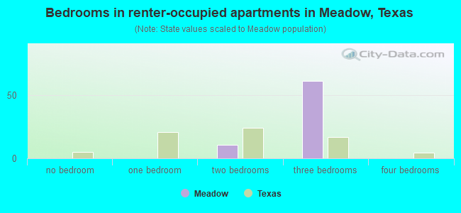 Bedrooms in renter-occupied apartments in Meadow, Texas