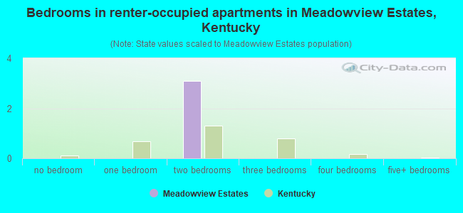 Bedrooms in renter-occupied apartments in Meadowview Estates, Kentucky