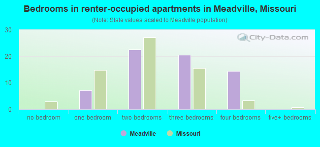 Bedrooms in renter-occupied apartments in Meadville, Missouri
