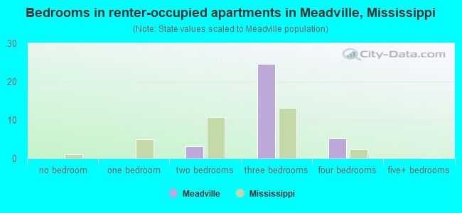 Bedrooms in renter-occupied apartments in Meadville, Mississippi