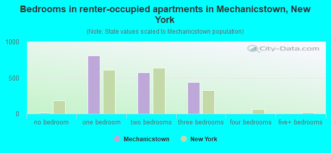 Bedrooms in renter-occupied apartments in Mechanicstown, New York