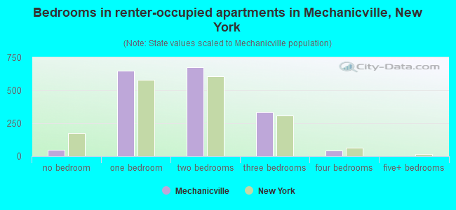 Bedrooms in renter-occupied apartments in Mechanicville, New York