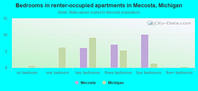 Bedrooms in renter-occupied apartments in Mecosta, Michigan