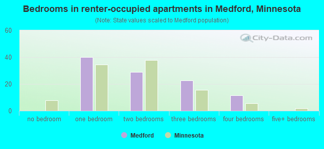 Bedrooms in renter-occupied apartments in Medford, Minnesota