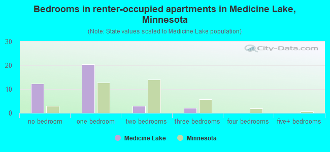 Bedrooms in renter-occupied apartments in Medicine Lake, Minnesota