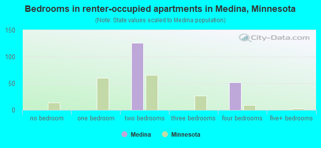 Bedrooms in renter-occupied apartments in Medina, Minnesota