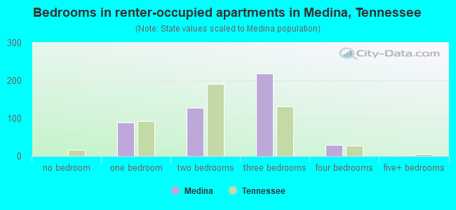 Bedrooms in renter-occupied apartments in Medina, Tennessee