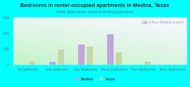 Bedrooms in renter-occupied apartments in Medina, Texas