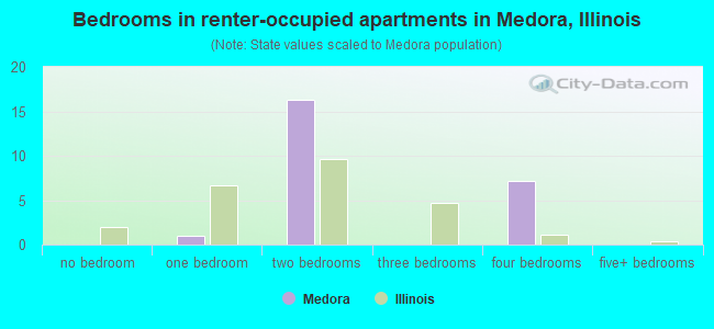 Bedrooms in renter-occupied apartments in Medora, Illinois