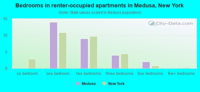 Bedrooms in renter-occupied apartments in Medusa, New York