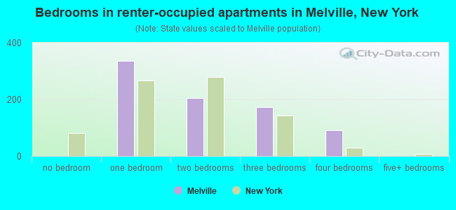 Bedrooms in renter-occupied apartments in Melville, New York