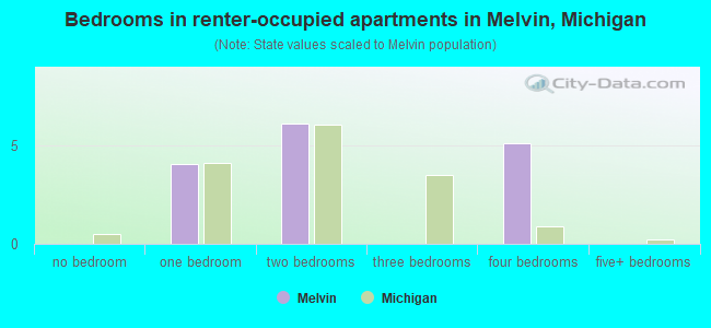 Bedrooms in renter-occupied apartments in Melvin, Michigan