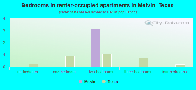 Bedrooms in renter-occupied apartments in Melvin, Texas