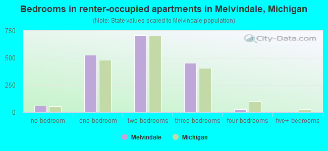 Bedrooms in renter-occupied apartments in Melvindale, Michigan