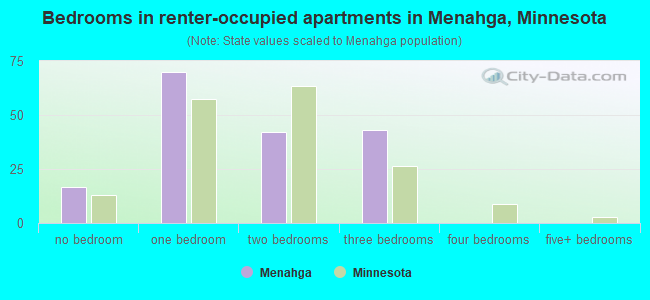 Bedrooms in renter-occupied apartments in Menahga, Minnesota