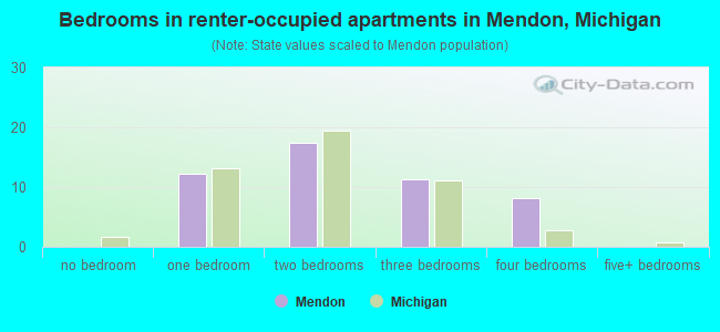 Bedrooms in renter-occupied apartments in Mendon, Michigan