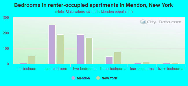 Bedrooms in renter-occupied apartments in Mendon, New York