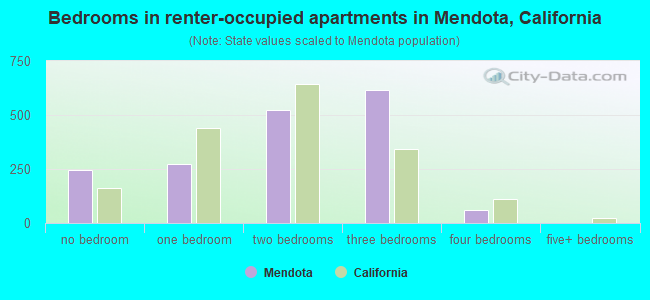 Bedrooms in renter-occupied apartments in Mendota, California
