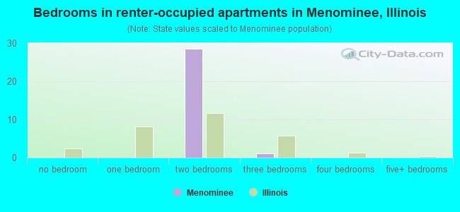 Bedrooms in renter-occupied apartments in Menominee, Illinois