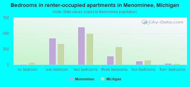 Bedrooms in renter-occupied apartments in Menominee, Michigan