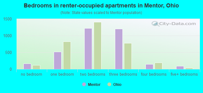 Bedrooms in renter-occupied apartments in Mentor, Ohio
