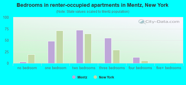 Bedrooms in renter-occupied apartments in Mentz, New York