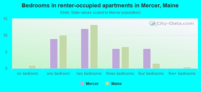 Bedrooms in renter-occupied apartments in Mercer, Maine
