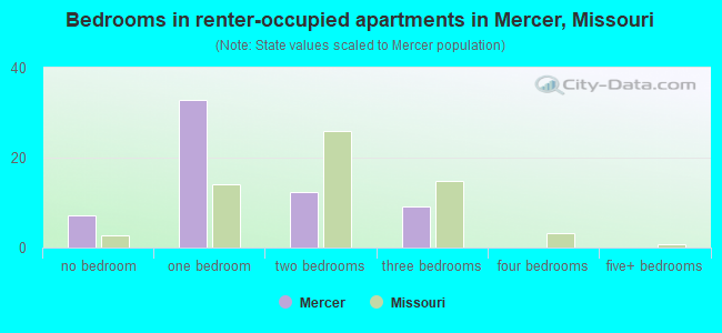 Bedrooms in renter-occupied apartments in Mercer, Missouri