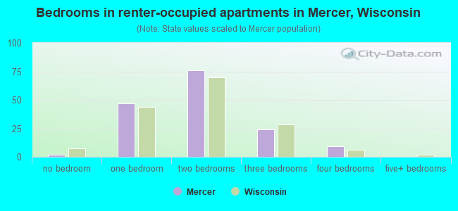 Bedrooms in renter-occupied apartments in Mercer, Wisconsin