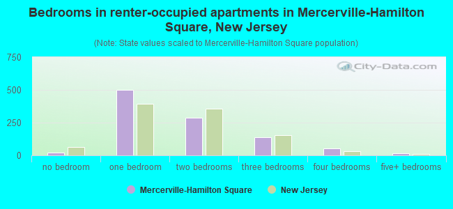 Bedrooms in renter-occupied apartments in Mercerville-Hamilton Square, New Jersey