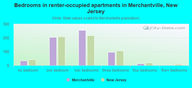 Bedrooms in renter-occupied apartments in Merchantville, New Jersey