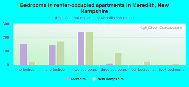 Bedrooms in renter-occupied apartments in Meredith, New Hampshire