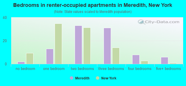 Bedrooms in renter-occupied apartments in Meredith, New York